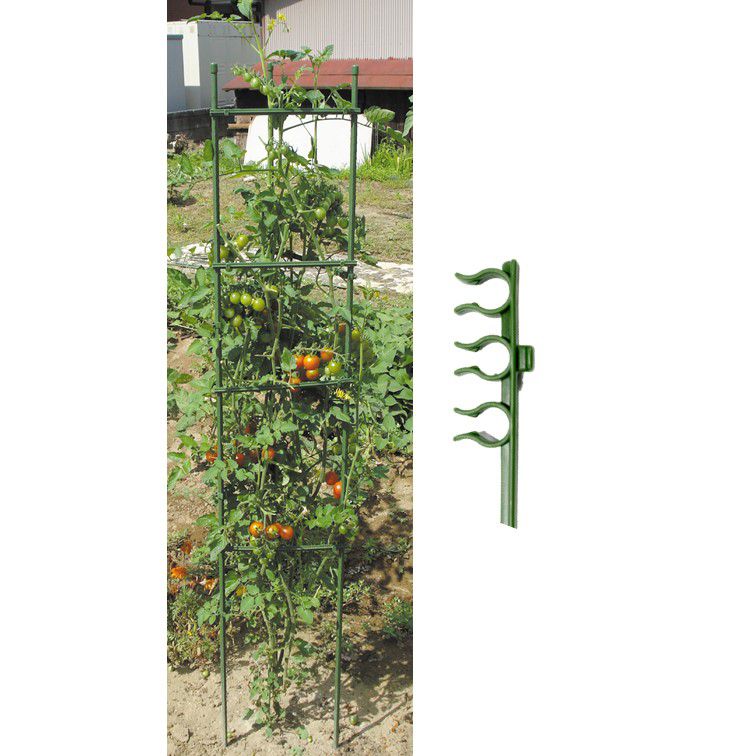 Plant Support Stakes Kit - Japanese stakes – Color: Green